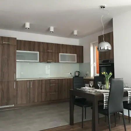 Apartament Szary דירה ורוצלב